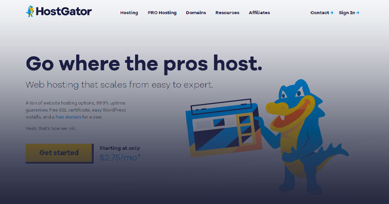 Hostgator, Todo lo que necesitas saber